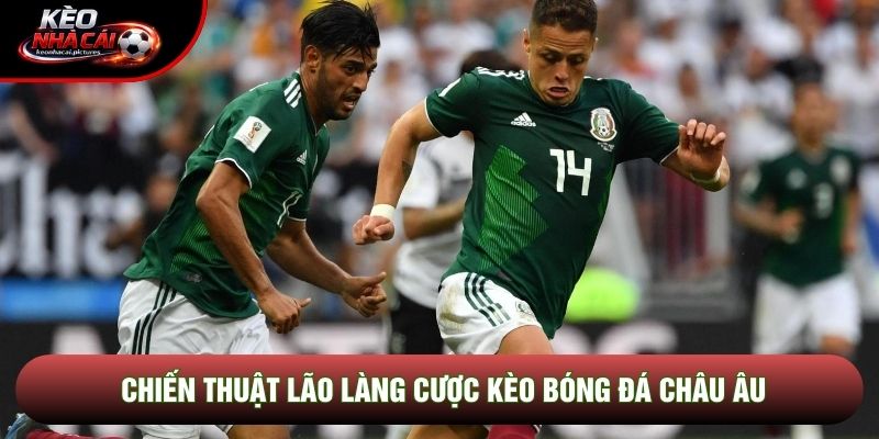 Chiến thuật lão làng cược kèo bóng đá châu Âu Chiến thuật lão làng cược kèo bóng đá châu Âu