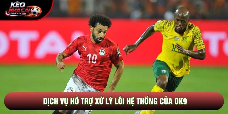 Dịch vụ hỗ trợ xử lý lỗi hệ thống của Ok9