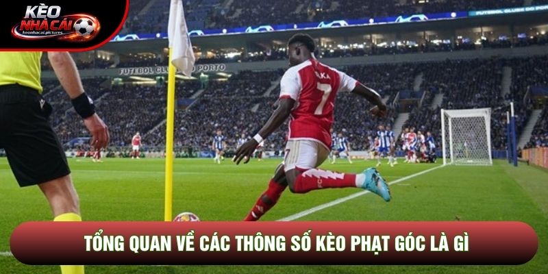 Tổng quan về các thông số kèo phạt góc là gì Tổng quan về các thông số kèo phạt góc là gì